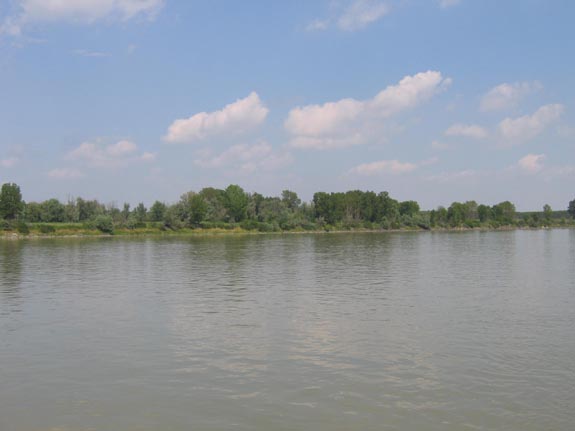 Po river - near to Brescello